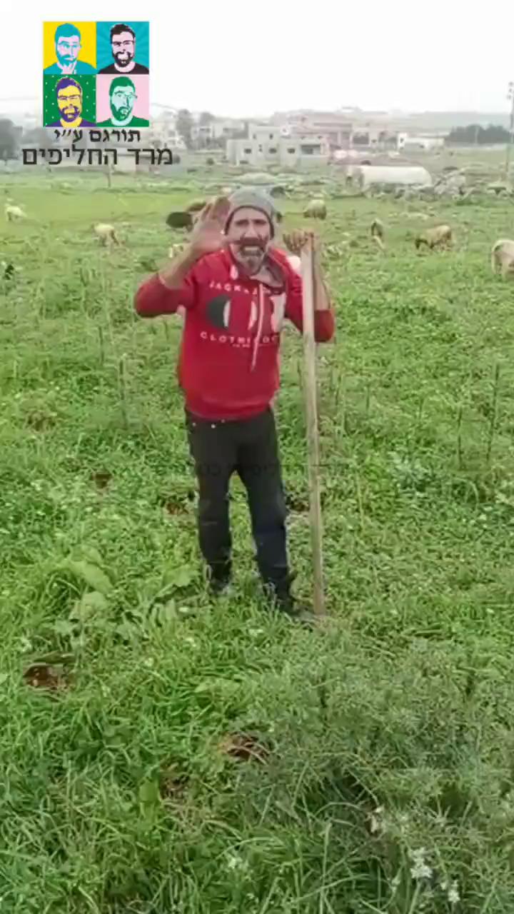 רועה צאן לבנוני פונה לאביחי אדרעי, דובר צה